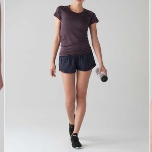 Hotty hot shorts size 8 regular